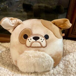 ⭐️4/$20 Squishmallows Tan and White bullDog Plush Toy